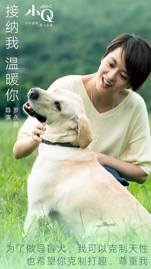 买个假科罗拉多州身份证